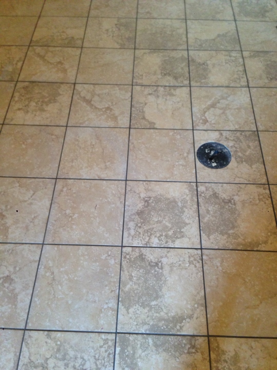 This image shows tile installation at True North Gas Stations. This tile was installed by Youngstown Tile & Terrazzo.